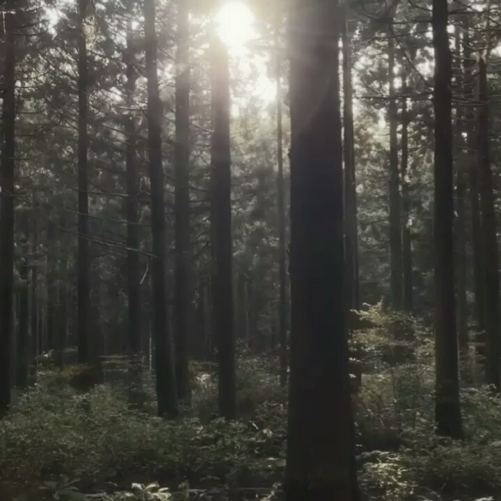 1 vidéo