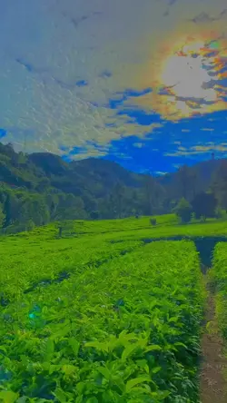 SLOW CẢNH ĐEP