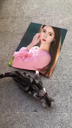 Mẫu Độc Lạ Hài Hước