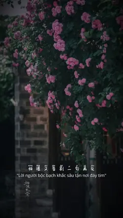 BEAT 5 ẢNH XỊN