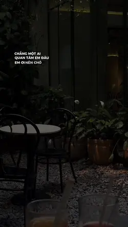 Họ đã quên em còn 