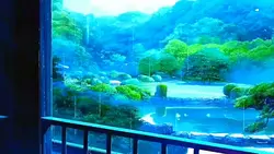 Mẫu video