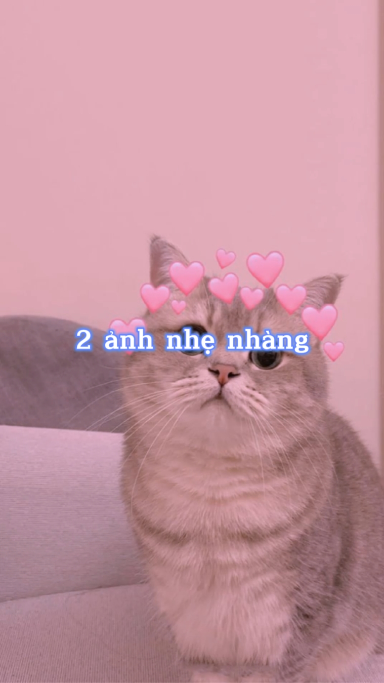 2 ảnh nhẹ nhàng ⁶⁶