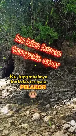 ternyata PELAKOR