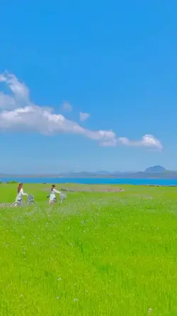 Our Beloved Summer