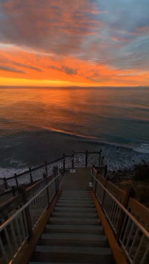 ชีวิตบางที