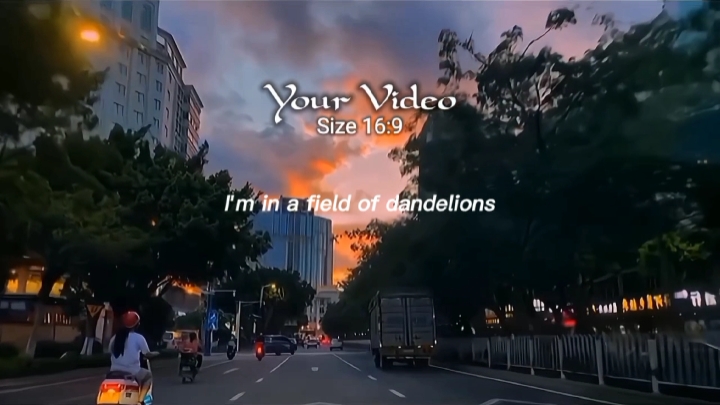 Dandelions