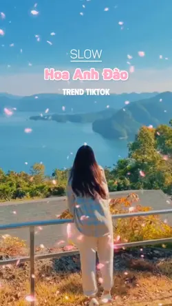 Slow Hoa Anh Đào🌸