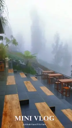 kabut