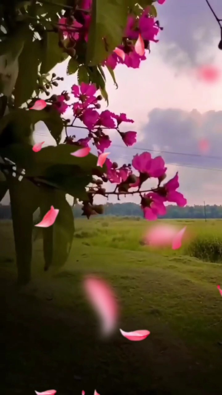 ไม่ร้องไห้ ไม่ใช่ไม่