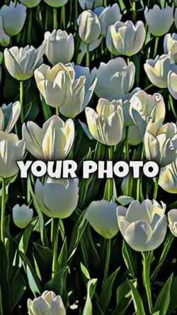 Love_kendrick,zacari