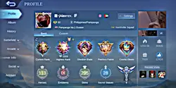 Flexing account 