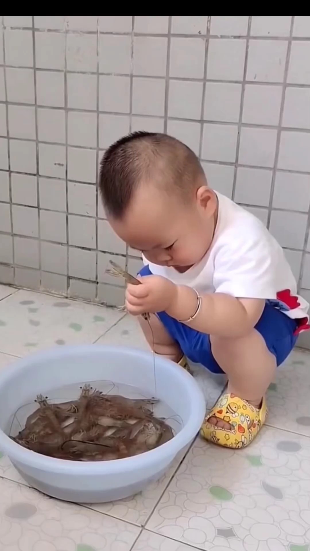Video lucu