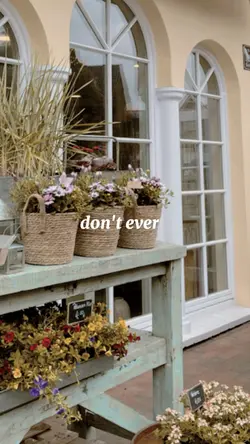 17รูป1วิดีโอ