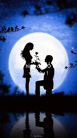 1 video + hiệu ứng