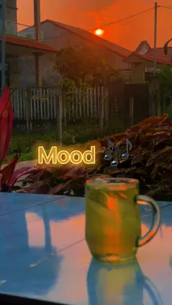 Mood 🎶