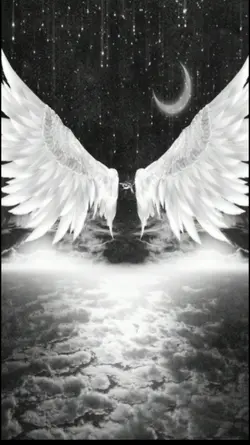 AngelWingsOverlay