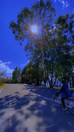 Slowmotion 