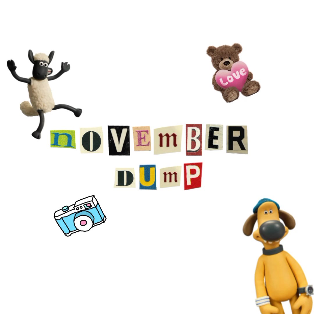 NOVEMBER DUMPP 