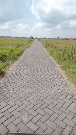 Prank mentahan