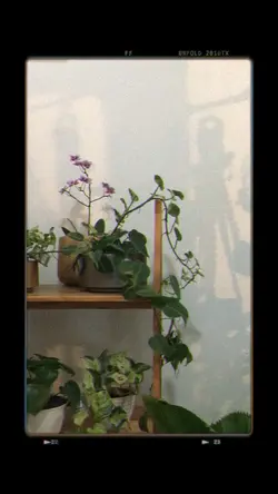 mini vlog