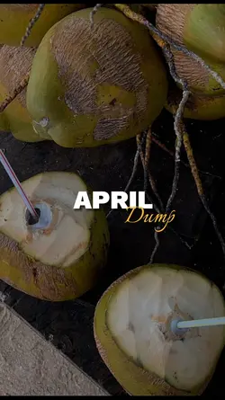 APRIL DUMP