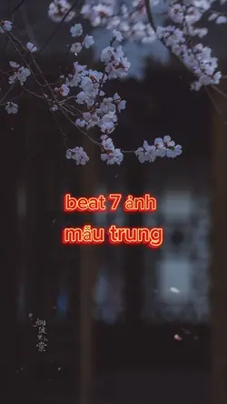 beat 7 ảnh
