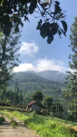 Muncak abis lebaran