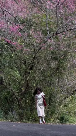 bisa foto bisa video