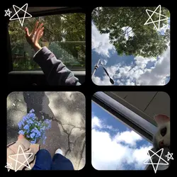 ภาวนา 4 รูป
