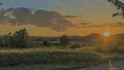 lirikaesthetic