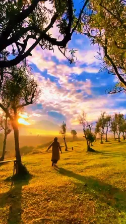 Filter Cinematic