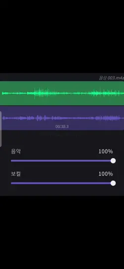 Unforgiven 보컬리무버