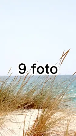 10Agt22a