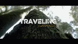 traveling cinematic 