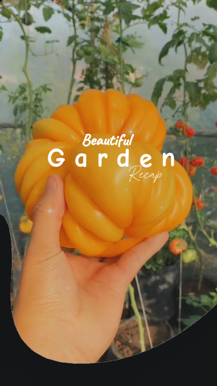 Gardening Vlog