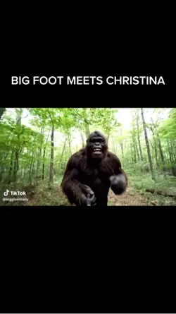 BIG FOOT VLOGS