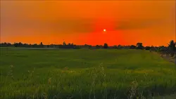 Sunset chill 