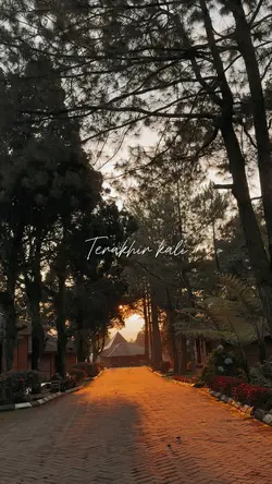 CINEMATICMUSIK LIRIK