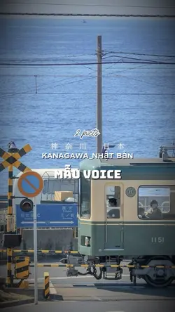 Mẫu voice