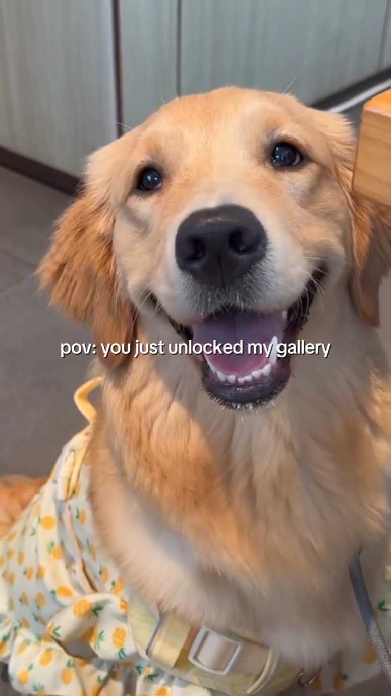 pov: meine Galerie