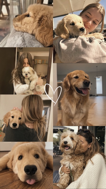 Mi perro 