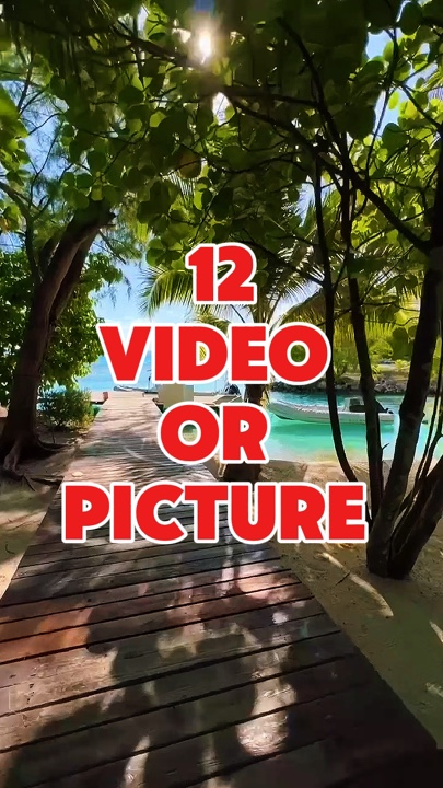 12 vidéo ou photo 