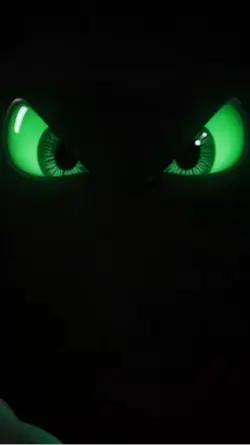 8K dynamic wallpaper