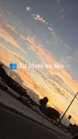 Tu Ídolo es feo