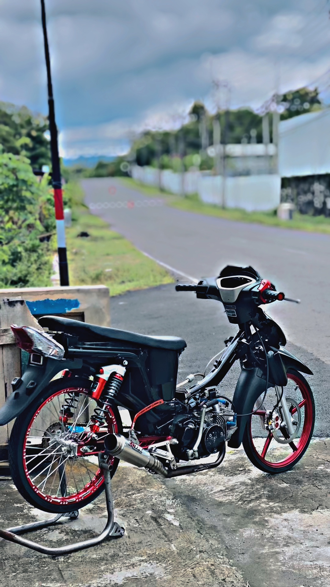 Cover Picture