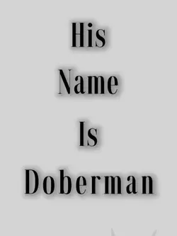 Doberman dog is cool