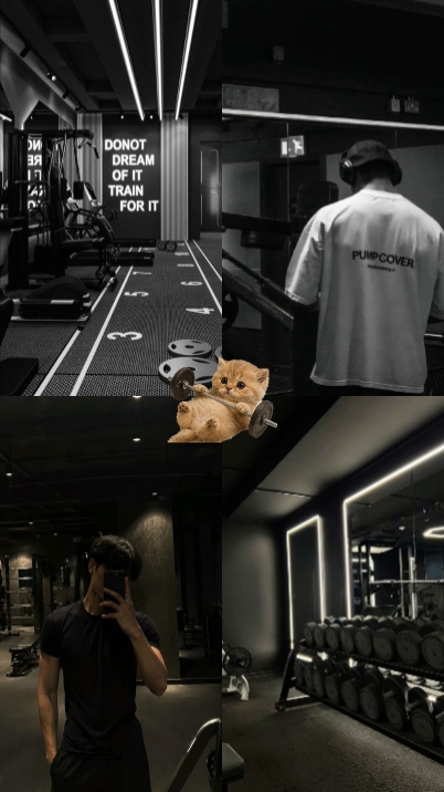 gym cat 