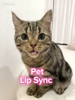 AI Pet Lip Sync 