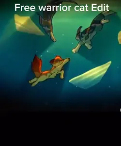 Warrior cats